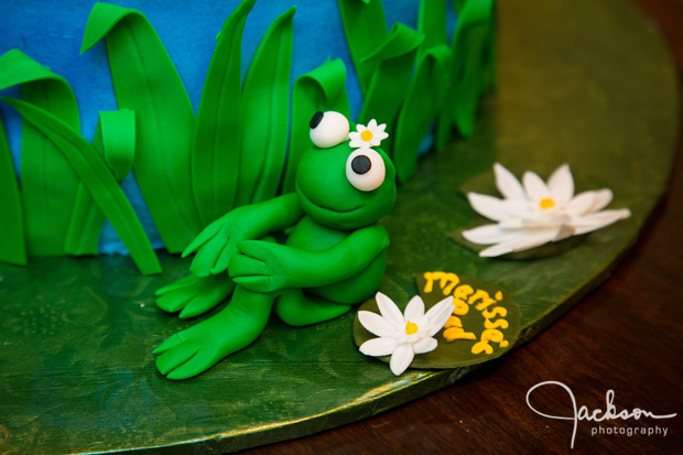 detail of green frog cake