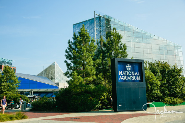 Baltimore_Aquarium_Wedding_01