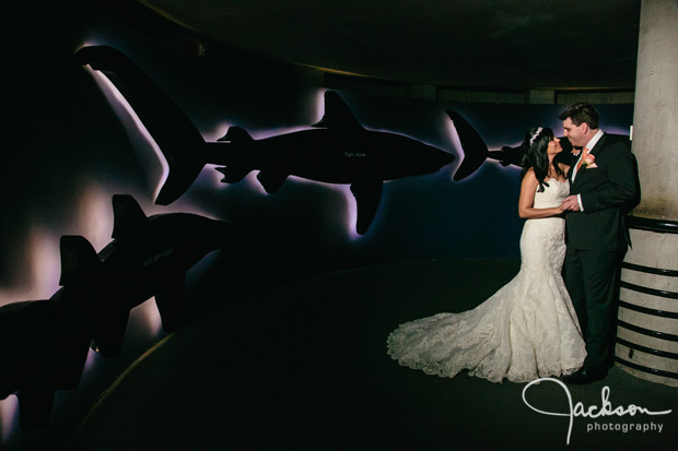Baltimore_Aquarium_Wedding_23