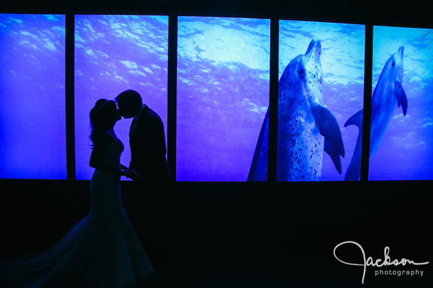 Baltimore_Aquarium_Wedding_32